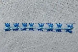 Puntada de Cadena de Mariposa