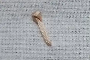 Punto pistil - Pistil stitch