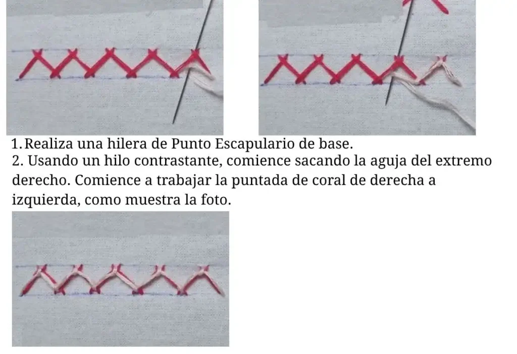 Punto Escapulario Coral
