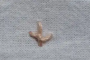 Nudo de Cuatro Patas (Four Legged Knot Stitch)