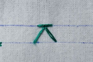 Punto Chevron Separado (Detached Chevron Stitch)