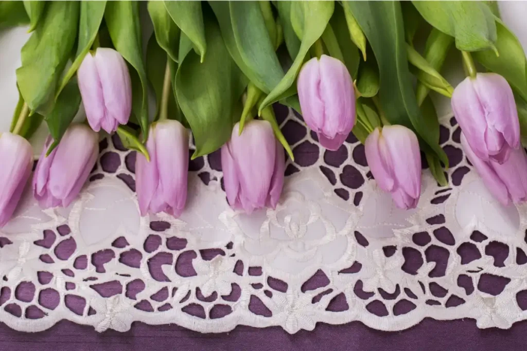 bordado cutwork