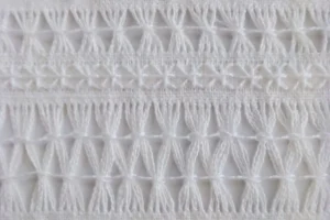 vainicas